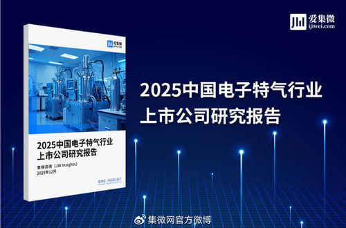 2025中國電子特氣行業上市公司研究報告 技術驅動下的競爭格局與市場展望